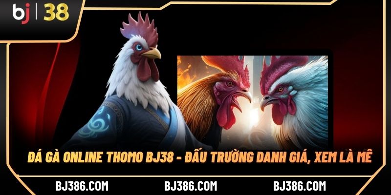 Đá Gà Online Thomo BJ38 - Đấu Trường Danh Giá, Xem Là Mê